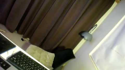 Snapshot of hugcock69_precious chatting on 29, 12, 2024 Precious online show from 29, 12, 2024