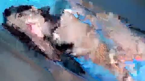 Yhanie online show from 3, 2, 2025