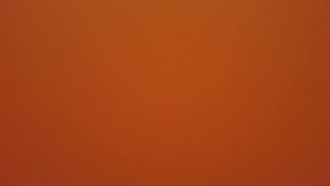 hundeleine online show from 19, 12, 2025