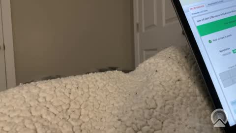 hungtwinkcock1 online show from 17, 3, 2026