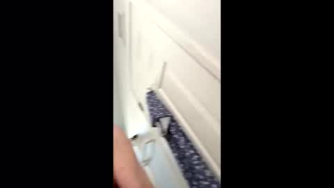 Snapshot of huskey300 chatting on 9, 1, 2026 huskey300 online show from 9, 1, 2026