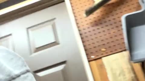 Snapshot of huskey300 chatting on 4, 2, 2026 huskey300 online show from 4, 2, 2026