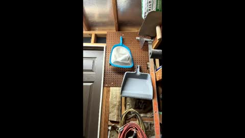 Snapshot of huskey300 chatting on 6, 3, 2026 huskey300 online show from 6, 3, 2026