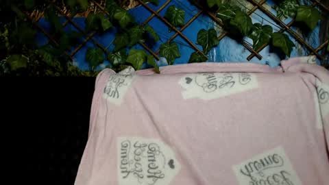 Kayla online show from 7, 12, 2024