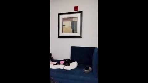 hydrakinglaser online show from 5, 2, 2026