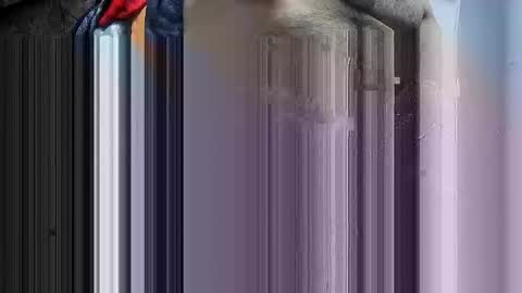 i4cams online show from 5, 1, 2026