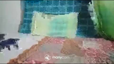 JP online show from 27, 9, 2025