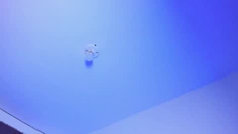 Snapshot of iam_naho chatting on 1, 10, 2025 NAHO online show from 1, 10, 2025