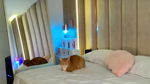 Nyxy online show from 11, 11, 2025