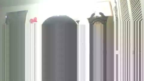 Snapshot of iamproprojectcandysugarbaby chatting on 13, 9, 2025 I LOVE MY COCONUT EAT MY COCONUTS online show from 13, 9, 2025