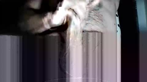 Pat online show from 11, 3, 2026