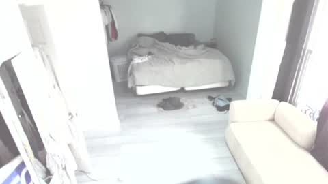 idiocracy517035 online show from 28, 10, 2025