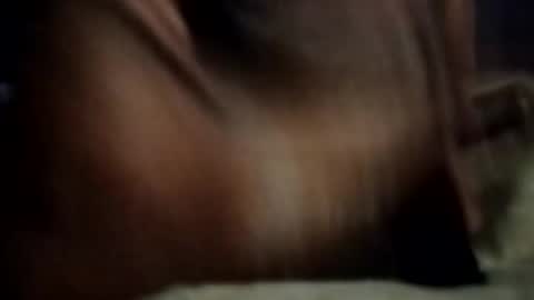 ihktqjtwzczh online show from 27, 2, 2026