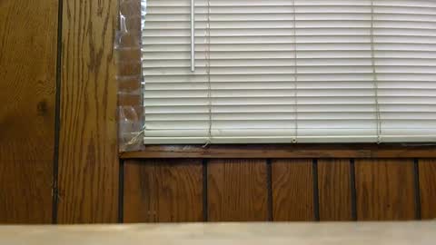 hard4u online show from 16, 12, 2024