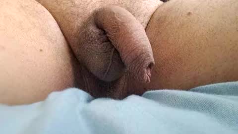 Snapshot of ikbenzo chatting on 8, 12, 2024 ikbenzo online show from 8, 12, 2024