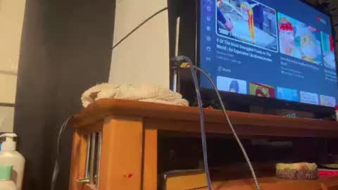 White Bunny online show from 8, 8, 2026