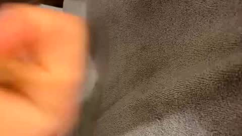 Snapshot of iltjoal69 chatting on 5, 3, 2025 iltjoal69 online show from 5, 3, 2025