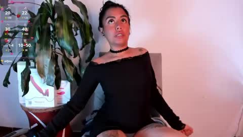 amber online show from 6, 8, 2026