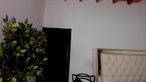 FELIX online show from 1, 5, 2026