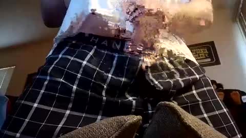 Iminyourroom online show from 12, 3, 2025