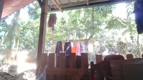 Immaculate02 online show from 1, 2, 2025