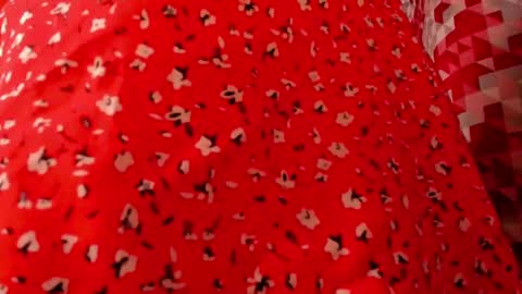 Melissa No Baby or bb sexy etc... online show from 13, 2, 2025