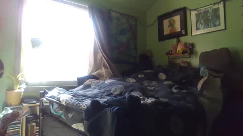 indigo_scorpio online show from 29, 1, 2025