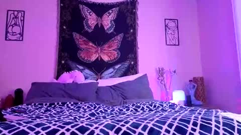 Indigo Bay online show from 15, 3, 2026