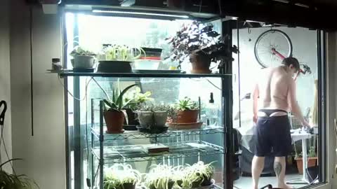 Snapshot of indigolvr chatting on 15, 6, 2026 BroLOU online show from 15, 6, 2026