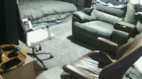 Snapshot of init2dentit chatting on 20, 3, 2026 init2dentit online show from 20, 3, 2026