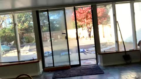 IntoTheWoodsWeGo online show from 13, 11, 2025