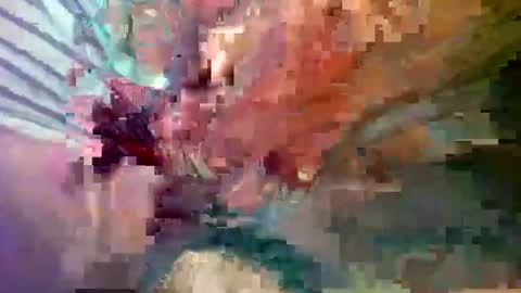 Snapshot of ipuck55 chatting on 14, 12, 2024 ipuck55 online show from 14, 12, 2024