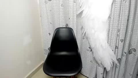 Snapshot of irisblooms chatting on 16, 3, 2026 iris blomm online show from 16, 3, 2026