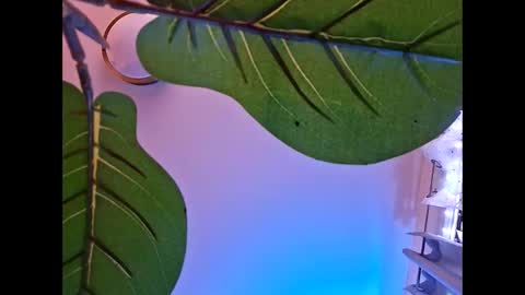 Isabella online show from 23, 10, 2025