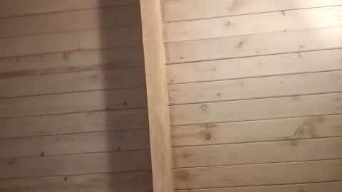 Isabella online show from 20, 3, 2026