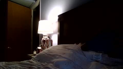 youngking online show from 5, 3, 2026