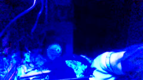 Snapshot of issyamazin667 chatting on 25, 3, 2026 Girlnextdoor online show from 25, 3, 2026