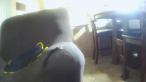 italythick online show from 12, 7, 2026