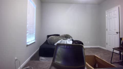 TARZAN online show from 13, 12, 2024