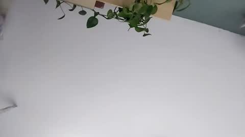 Vanchi online show from 7, 3, 2026