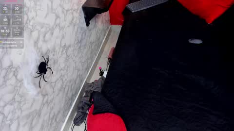 Ivis  online show from 25, 10, 2025