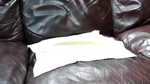 j0junkie online show from 25, 2, 2025