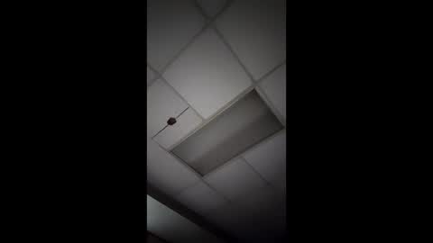 wonderbread online show from 14, 1, 2026