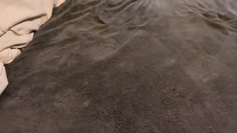 Snapshot of j_m12397 chatting on 27, 2, 2026 j_m12397 online show from 27, 2, 2026