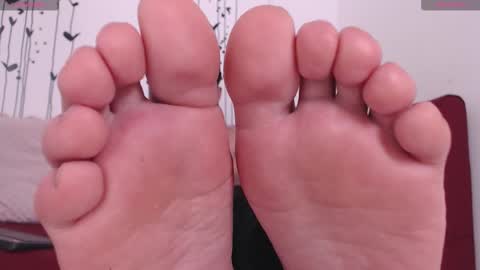    online show from 17, 9, 2025