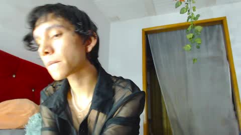 Laick online show from 31, 3, 2026