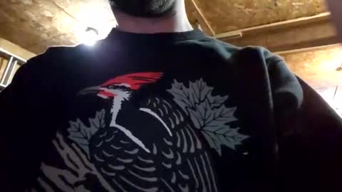 Snapshot of jackboys16 chatting on 5, 1, 2025 Dess online show from 5, 1, 2025