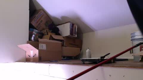 funtimes49203 online show from 18, 1, 2025