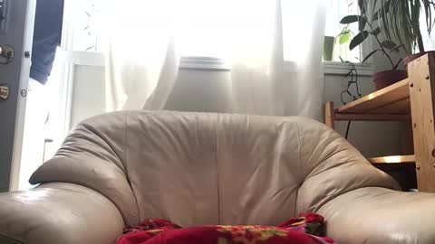 Snapshot of jacobmotes chatting on 14, 2, 2026 Jacob online show from 14, 2, 2026