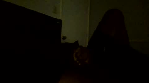 Jamacian online show from 25, 2, 2025